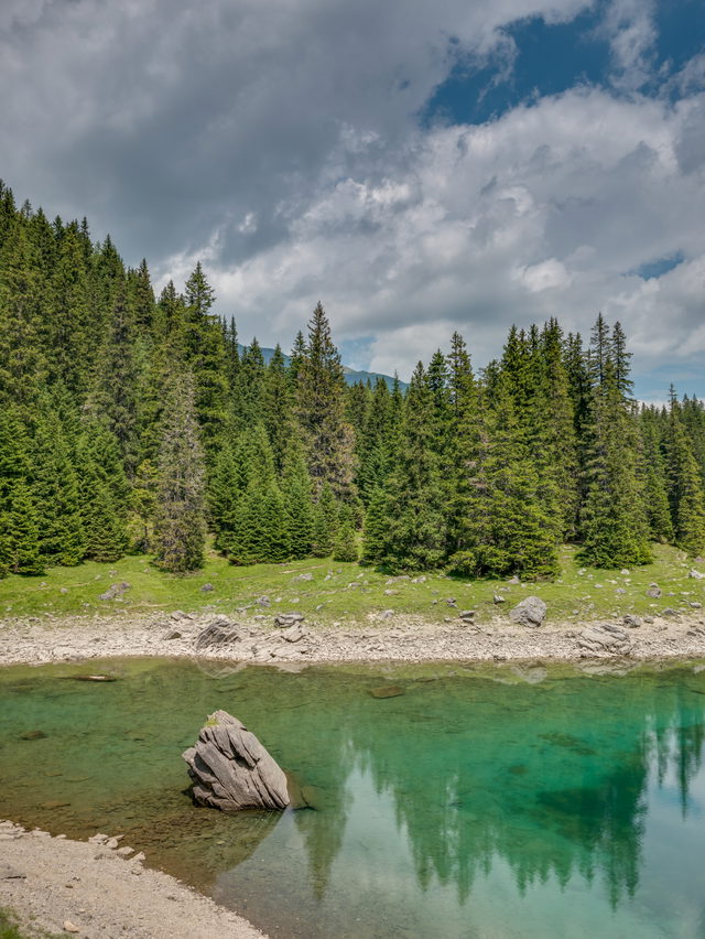 Ufer des Obernberger Sees mit Wald