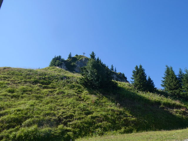 Gipfelbereich des Neunerköpfles im Tannheimer Tal