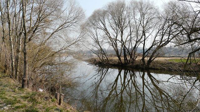 Uferbäume spiegeln sich im Günzstausee bei Kettershausen