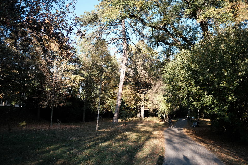 Alter Botanischer Garten Tübingen – große Bäume und Parkwege nahe der Altstadt