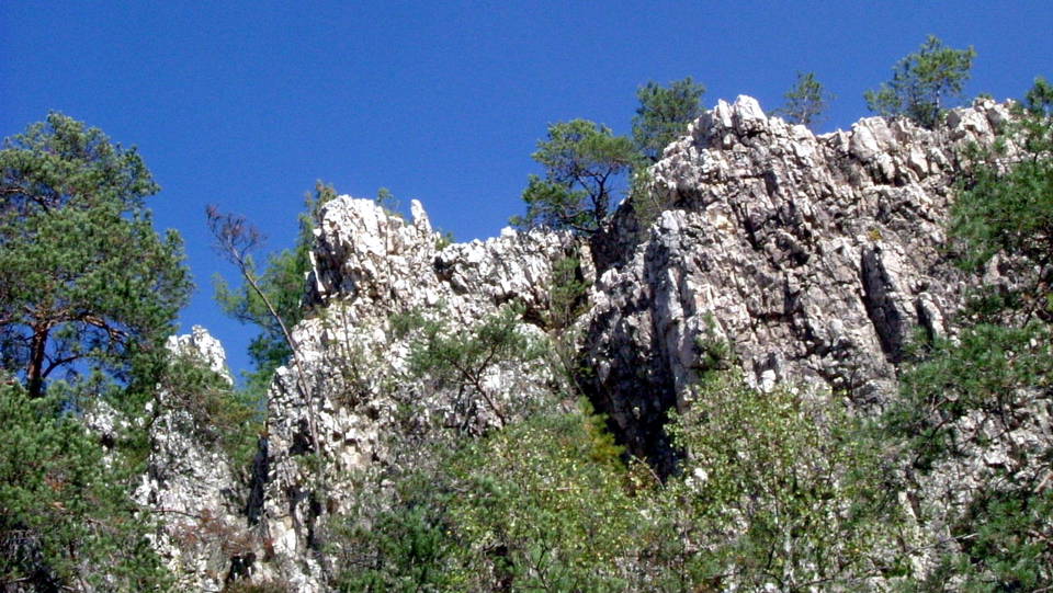 Helle Quarzfelsen des Großen Pfahls bei Viechtach zwischen Bäumen und Gras.