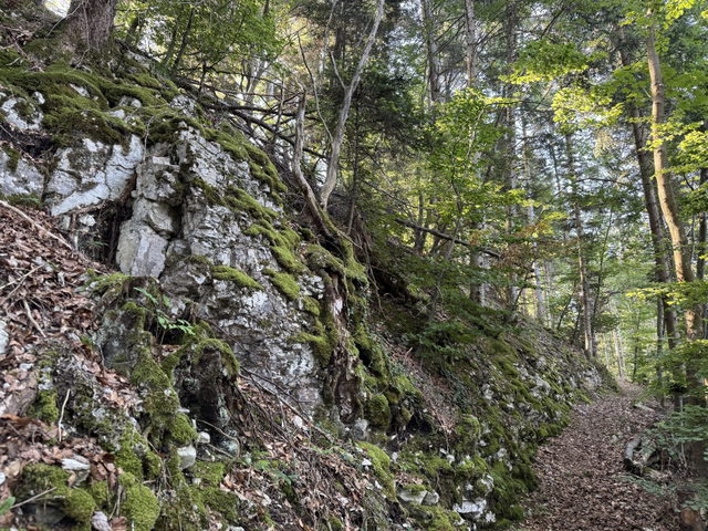 Schmaler Waldpfad zwischen Felsen am Wacholderbuschweg