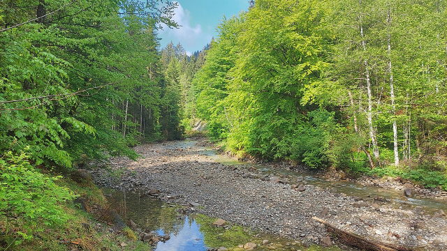 Ostertalbach im Gunzesrieder Tal mit Kiesbänken und bewaldeten Ufern