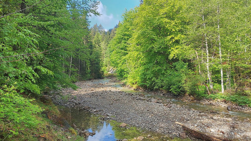 Familienerlebnisse in Blaichach und Gunzesried – Bienen, Wasserwege und Spielplätze