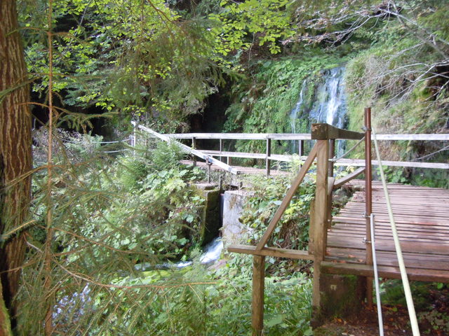 Sankenbachwasserfall mit Holzsteg im bewaldeten Hang