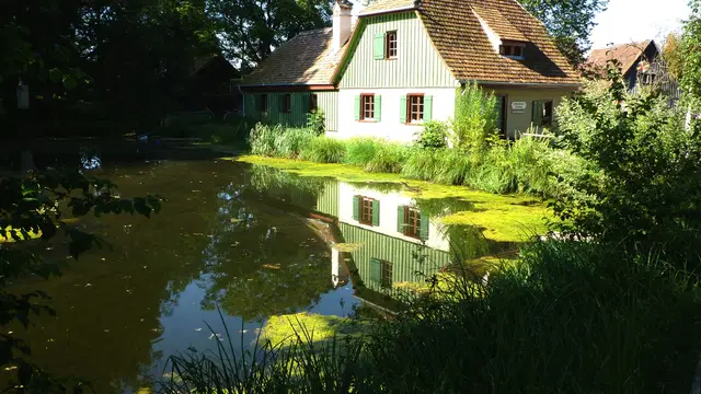 Historisches Bauernhaus mit grünen Fensterläden spiegelt sich in einem Teich im Bauernhaus-Museum Wolfegg. Ortsmotiv zur Ausflugsplanung.