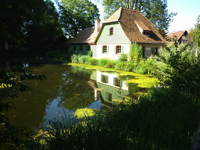 Grünes Bauernhaus am Teich mit Spiegelung im Wasser