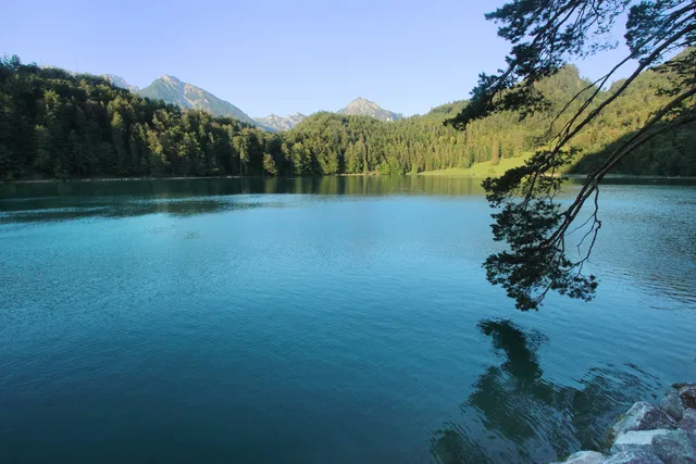 Türkisblauer Bergsee, von Wald umgeben, Berge im Hintergrund, darüber blauer Himmel