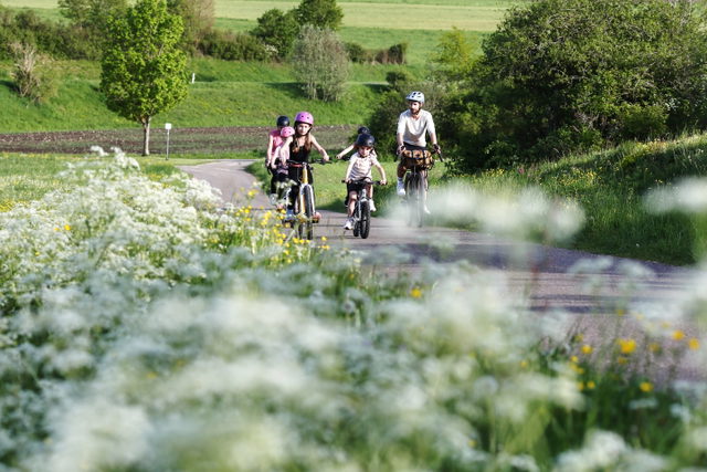 Radfahrende auf einem Weg zwischen Wiesen bei der Kornbühl-Tour