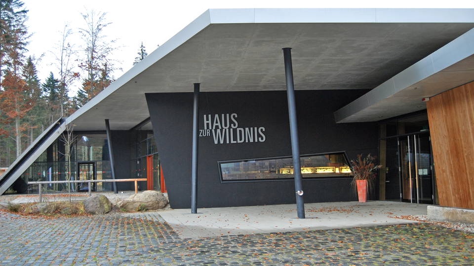 Eingang zum Haus zur Wildnis im Nationalparkzentrum Falkenstein bei Ludwigsthal