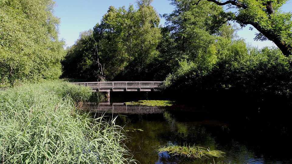Waldläufer Bad Wurzach – Wanderweg 4 durch den Stadtwald zu den Weihern