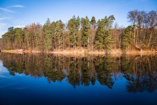 Herbstliche Uferbäume spiegeln sich im Stuttgarter Bärensee