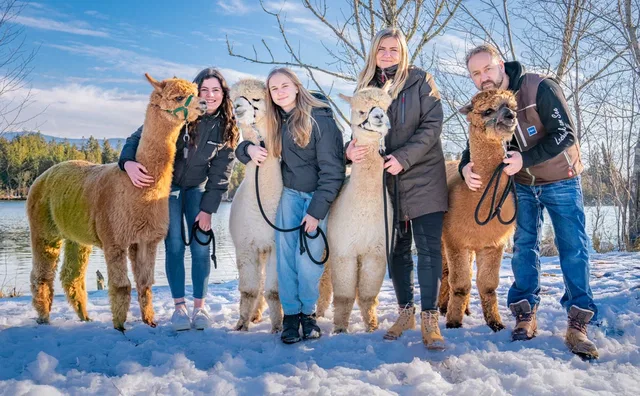 Gruppe mit Alpakas bei einer Winterwanderung