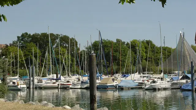 Segelboote im Radolfzeller Hafen vor Bäumen und dem Konzertsegel an der Uferpromenade. Ortsmotiv.