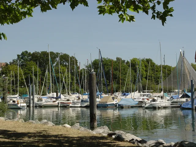Bodenseehafen mit vielen Segelbooten am Pier, Wasser spiegelt Boote, Baumkronen im Vordergrund.