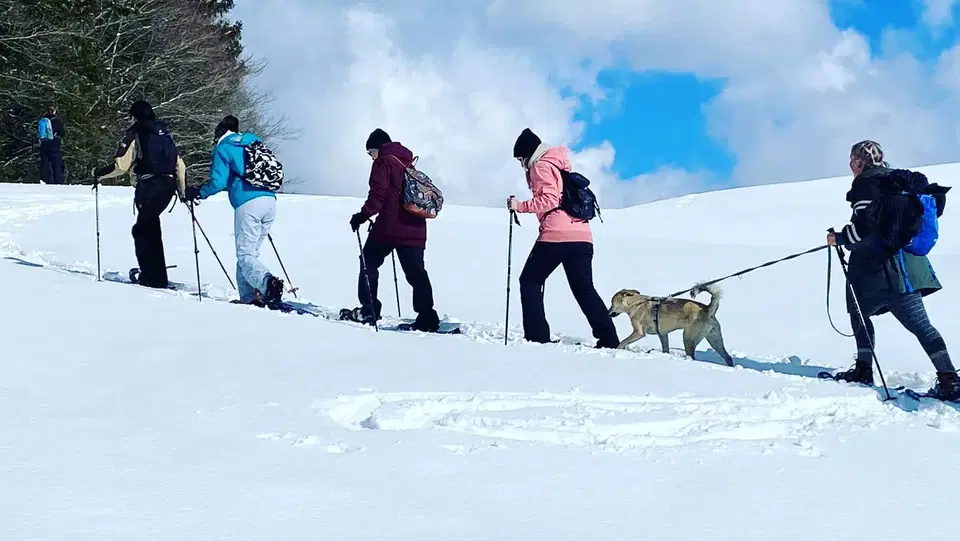 Schneeschuhgruppe mit Stöcken und angeleintem Hund an einem verschneiten Hang