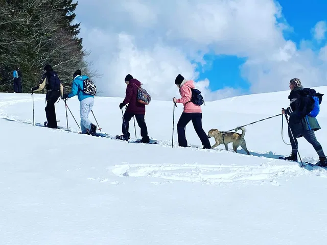 Schneeschuhgruppe mit Stöcken und angeleintem Hund an einem verschneiten Hang