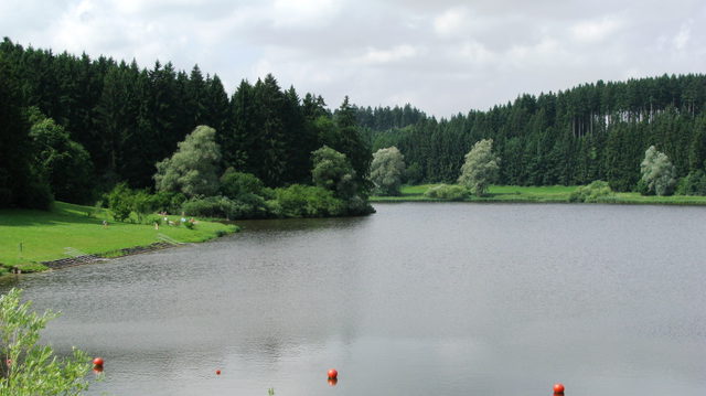 Windachspeicher mit bewaldetem Ufer