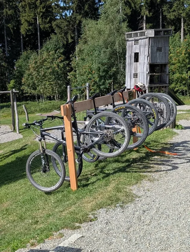 Mehrere Mountainbikes hängen an einem Holzständer im Freien, Wald im Hintergrund.