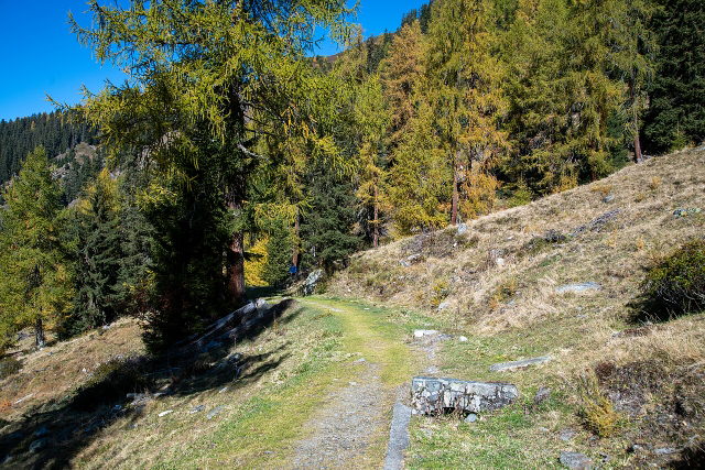 Wasserkanal und Wanderpfad am Kaunerberger Wasserweg zwischen Gallruthstollen und Gallruthalm