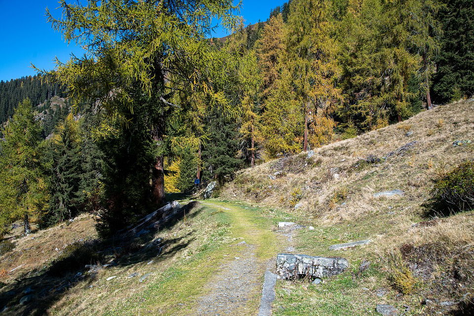 Gallruthstollen und Kaunerberger Wasserweg – Wandern entlang alter Bewässerung