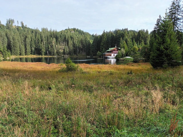 Frauensee bei Lechaschau mit Schilf, Wald und Gebäude am gegenüberliegenden Ufer
