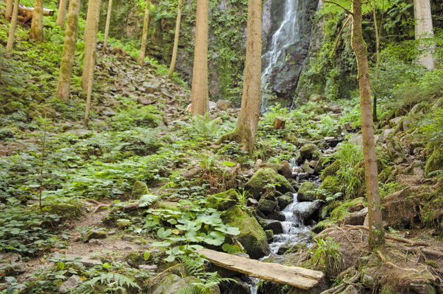 Burgbachwasserfall bei Bad Rippoldsau