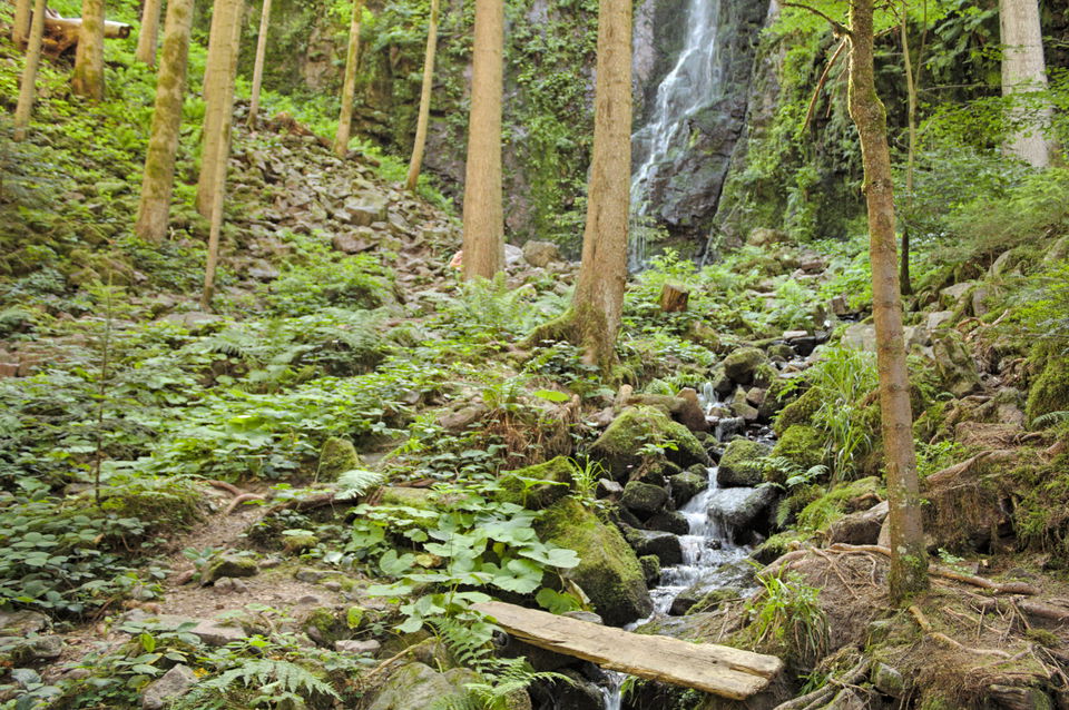 Klösterle-Schleife Bad Rippoldsau – Wolfsschlucht und Burgbachwasserfall