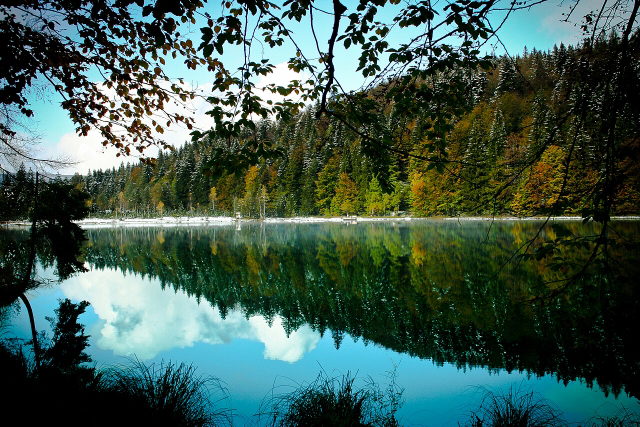Wald spiegelt sich im Frillensee bei Inzell; am gegenüberliegenden Ufer liegen Schneereste