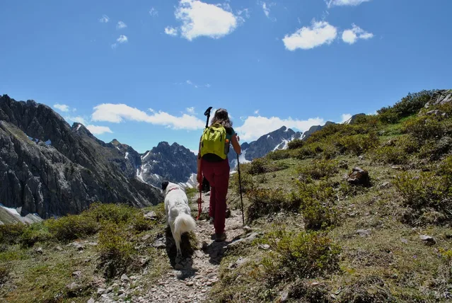 Person mit grünem Rucksack und Hund auf einem schmalen Bergpfad