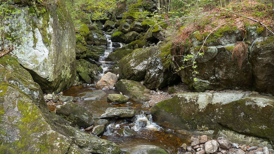 Umgebungsmotiv: Bach zwischen moosbewachsenen Felsen in der Steinklamm bei Spiegelau