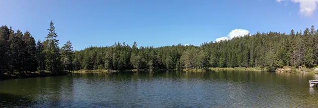Panorama eines ruhigen Sees, umgeben von Wald unter blauem Himmel.