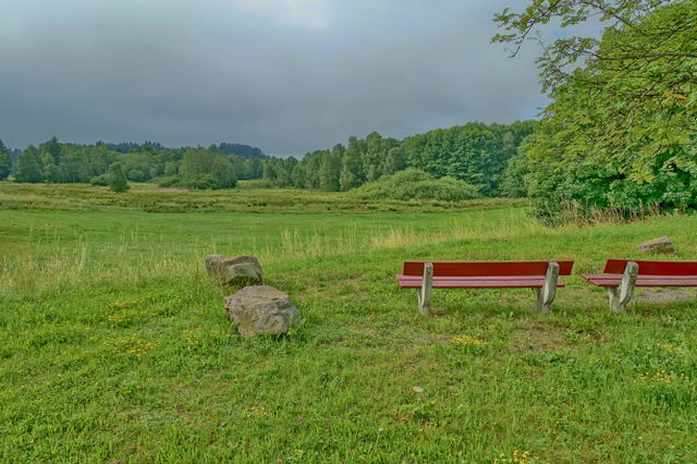Das Naturschutzgebiet Höchenschwander Moos