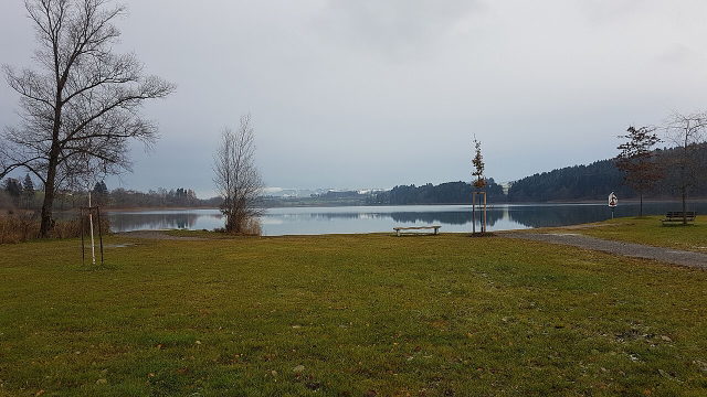 Uferwiese am Niedersonthofener See in Waltenhofen