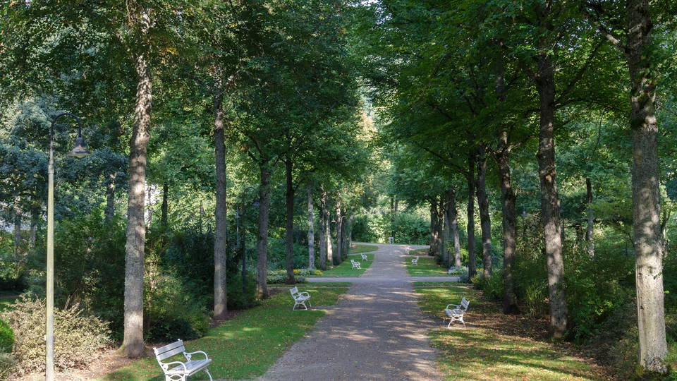 Symbolfoto: Parkweg mit Bänken; Aufnahme aus dem Kurpark Bad Bocklet