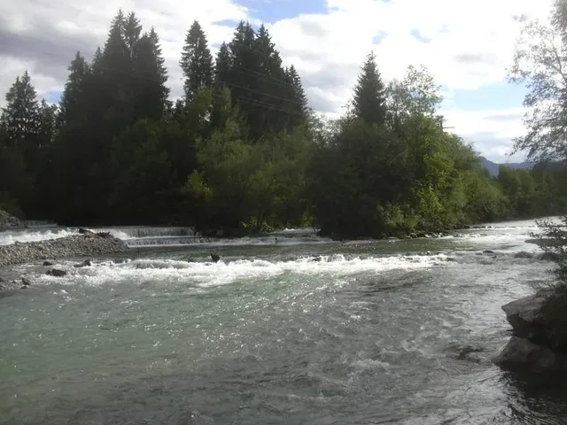 Fließender Fluss mit Stromschnellen, umgeben von Wald am Ufer.