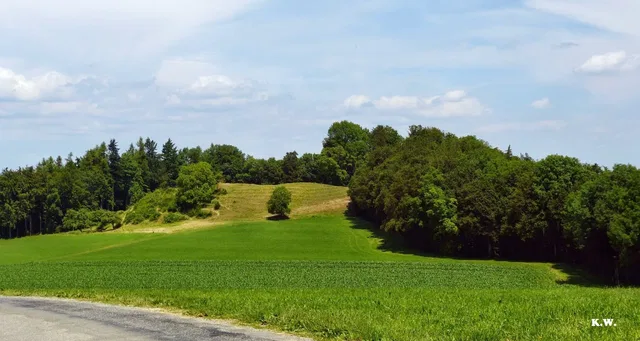 Landschaft auf dem Schienerberg im Umfeld der Schrotzburg; keine Ruinenmauern abgebildet