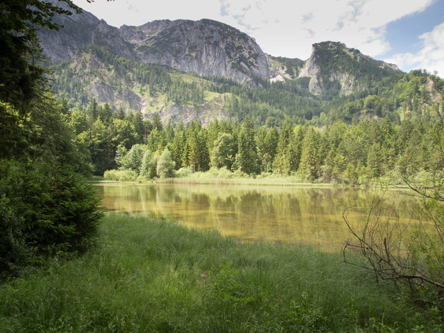 Taferlklaussee mit Wald und Felskulisse des Höllengebirges