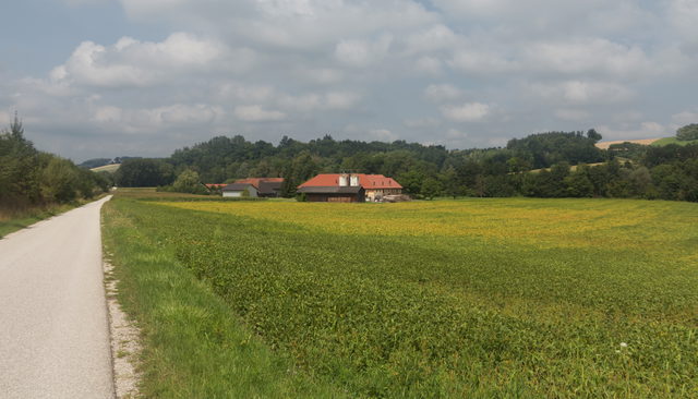 Landschaft zwischen Kematen am Innbach und Pichl bei Wels