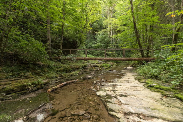 Hölzerner Steg in der Gauchachschlucht.