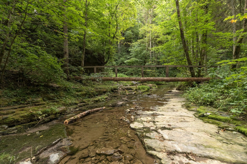 Gauchachschlucht ab Mundelfingen – Rundwanderung zur Burgmühle