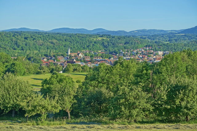 Blick über die bewaldete Landschaft auf Wehr