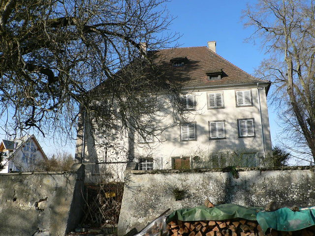 Schloss Mühlingen zwischen Bäumen