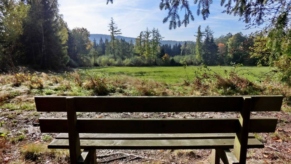 Symbolfoto: Rastbank am Waldsaum; Aufnahme aus Wülfersreuth