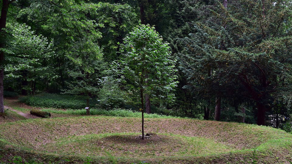 Baumbestand und Grünflächen im Stiftspark Lilienfeld