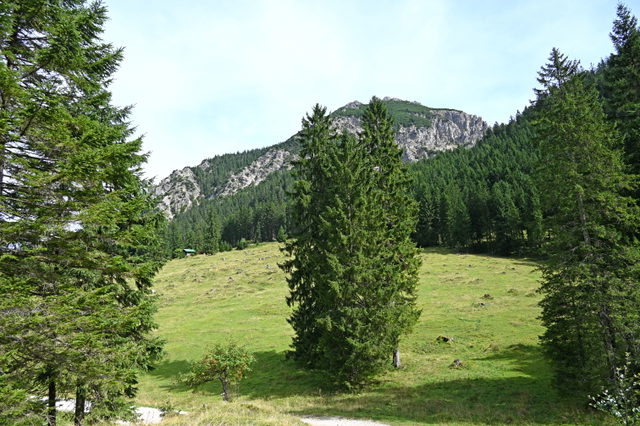 Weg zur Vilser Alm mit Blick auf den Vilser Kegel