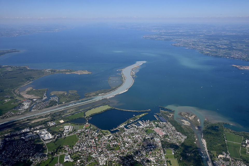 Naturschutzgebiet Rheindelta – Vogelwelt und Uferlandschaften am Bodensee