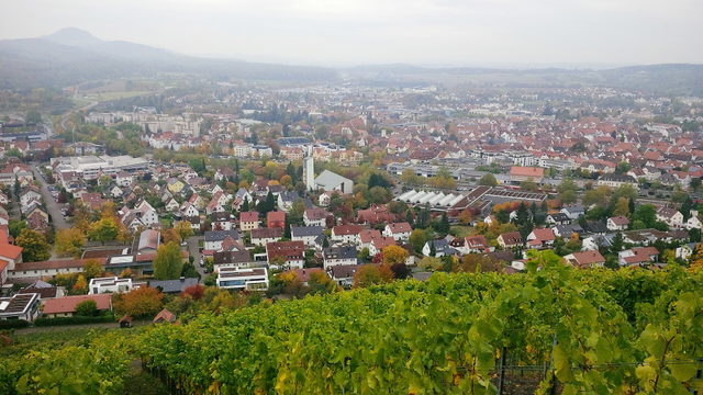 Blick vom Weinberg auf Metzingen