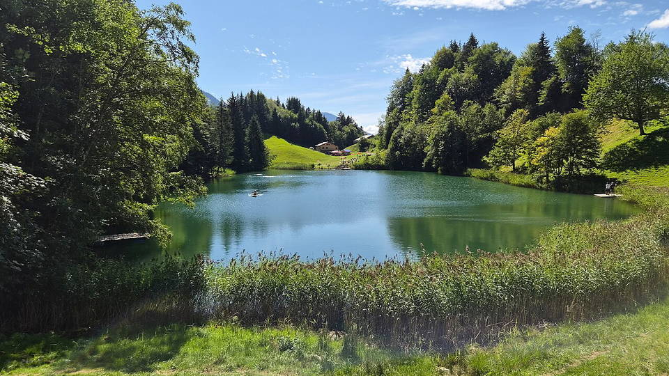 Seewaldsee bei Fontanella mit grünen Ufern und Wald