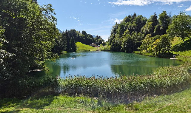 Seewaldsee bei Fontanella mit grünen Ufern und Wald